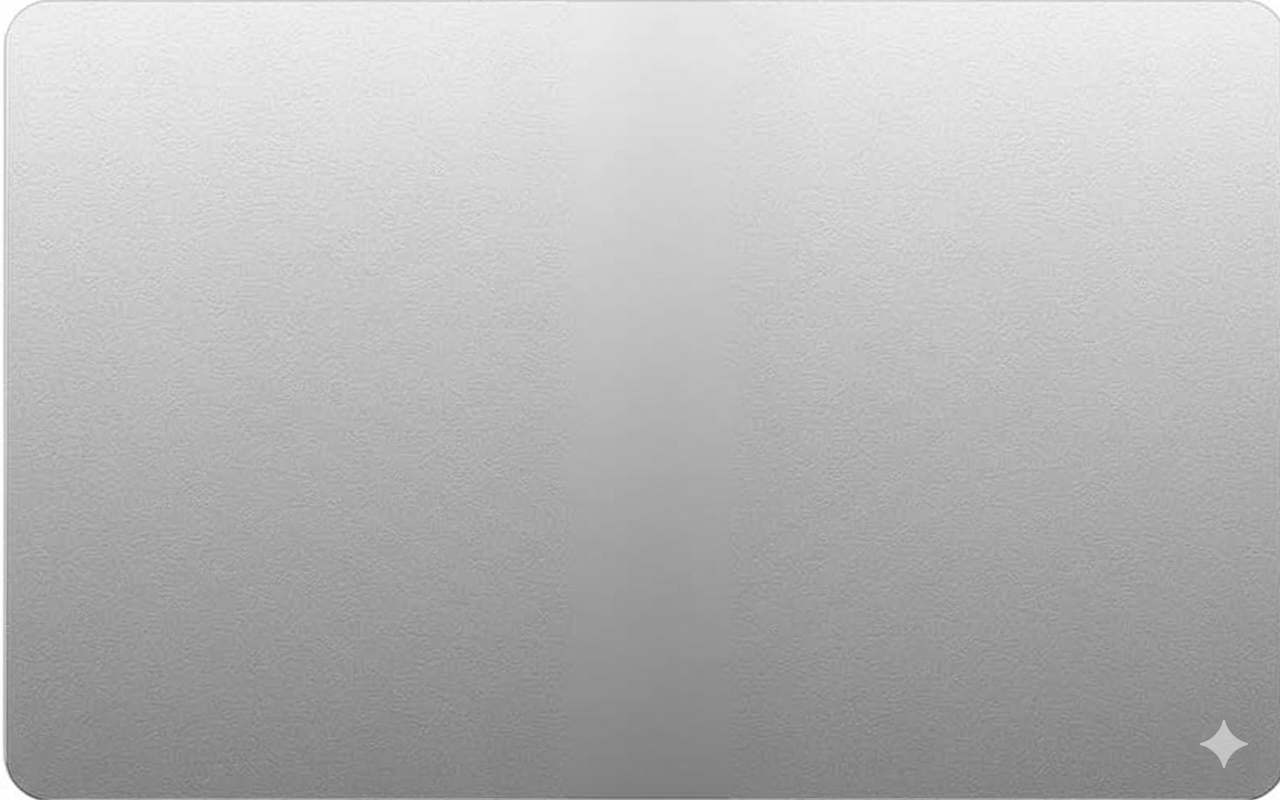 Digital Plat VISA Debit Card